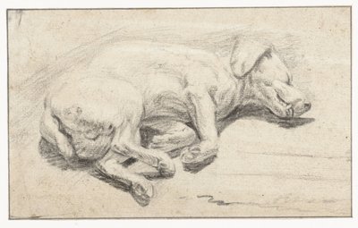 Liegender Hund, schlafend von Joannes Fijt (attributed to)