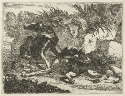 Zwei Hunde von Joannes Fijt
