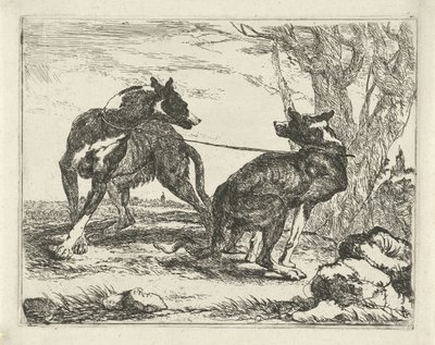 Zwei Hunde Hunde (Serientitel) von Joannes Fijt