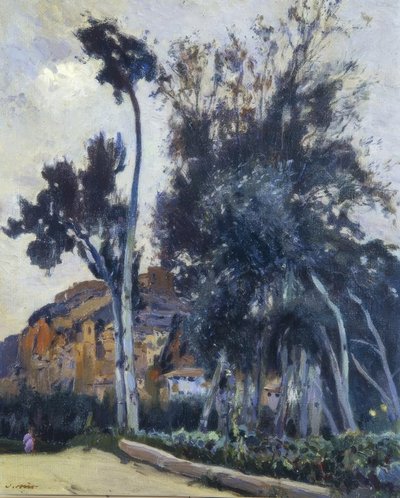 Miravet von Joaquim Mir i Trinxet