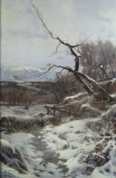 Winter von Joaquim Mir i Trinxet