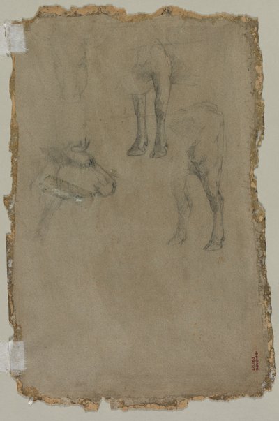 Studien eines Stiers, 1864 von Johan Barthold Jongkind
