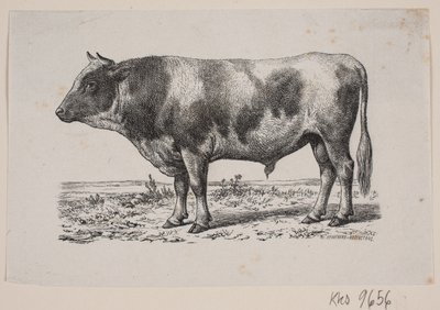 Ein Stier von Johan Frederik Rosenstand