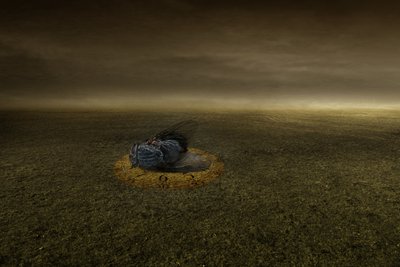 Ende eines Ziels, 2013 von Johan Lilja