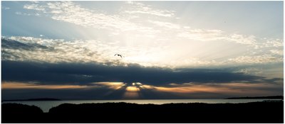 Am Meer von Johan Lilja