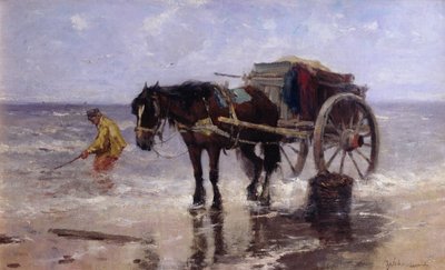 Die Muschelsammlerin von Johan Scherrewitz