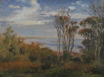 Kolås Wald. Vejrhøj von Johan Thomas Lundbye