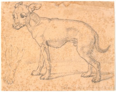 Stehender Hund von Johan Thomas Lundbye