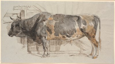 Stehender Stier in seinem Stall von Johan Thomas Lundbye