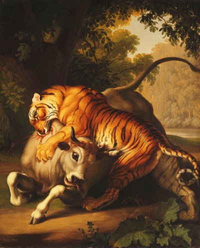 Ein Tiger greift einen Stier an, 1785 von Johan Wenzel Peter