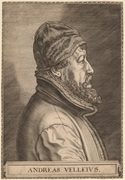 Andreas Velleius (Anders Sorensen Vedel) von Johan Wierix