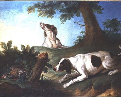 Spaniels treiben ein Rebhuhn auf von Johann Michael Baader