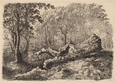 Verfallener Baumstamm, 1794 von Johann Georg von Dillis