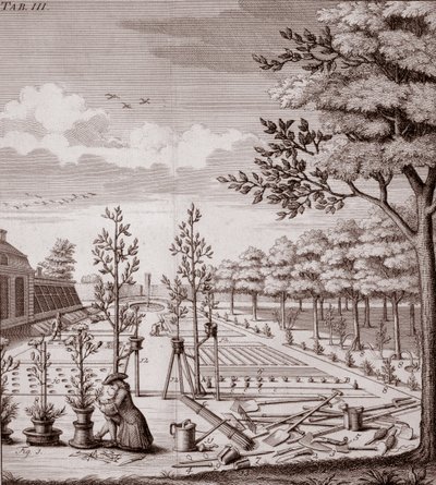 Illustration einer Gartenszene, 1753 von Johann Hermann Knoop
