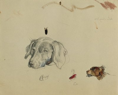 Hundestudie von Johann Peter Krafft