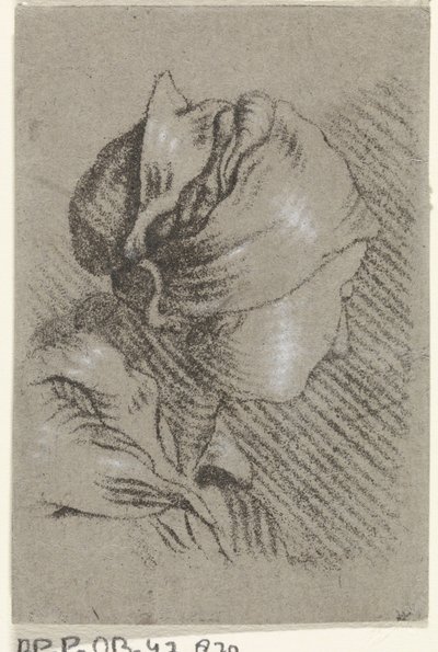 Frauenbüste von Johannes Janson (possibly)