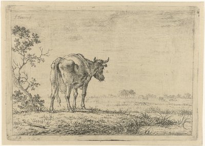 Kuh auf der Weide von Johannes Janson