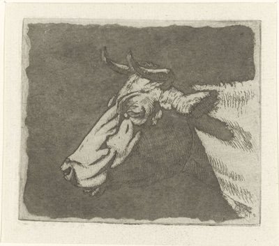 Kuhkopf von Johannes Janson