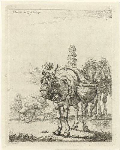 Zwei beladene Maultiere von Johannes Janson