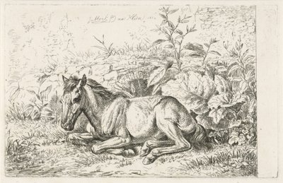 Liegendes Pferd vor einigen Pflanzen von Johannes Mock