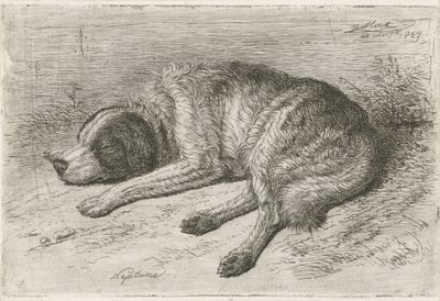 Schlafender Hund nach links von Johannes Mock