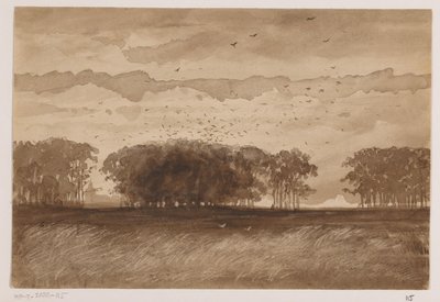 Saatkrähenkolonie in Nordbrabant von Johannes Tavenraat (signed by artist)