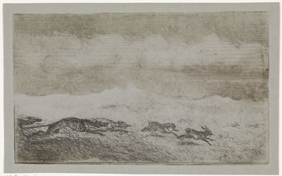 Hasenjagd von Johannes Tavenraat