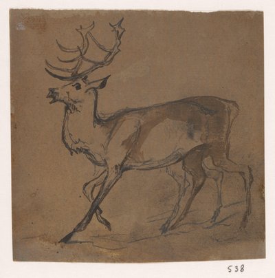 Hirsch von Johannes Tavenraat