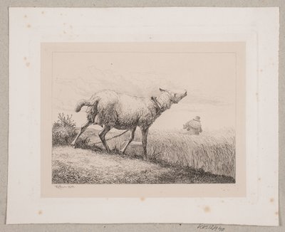Ein blökendes Schaf von Johannes Wilhelm Zillen