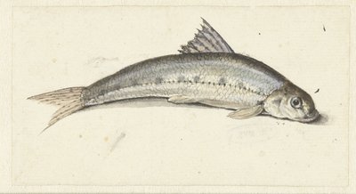 Gondel von Johannes le Francq van Berkhey