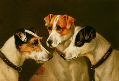 Die Hunde von John Alfred Wheeler