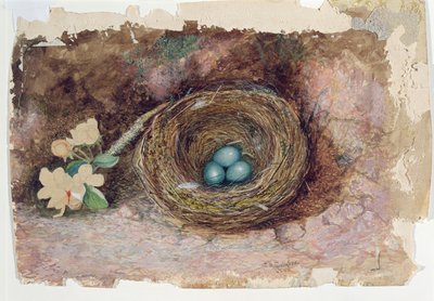 Vogelnest von John Atkinson Grimshaw