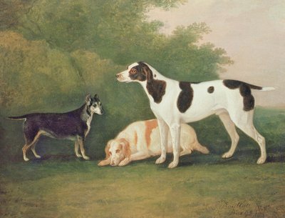 Drei Hunde in einer Landschaft von John Boultbee