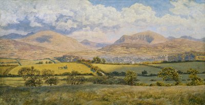 Caernarvon von John Brett