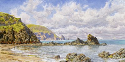 Wald Bucht, Cardigan Bay von John Brett