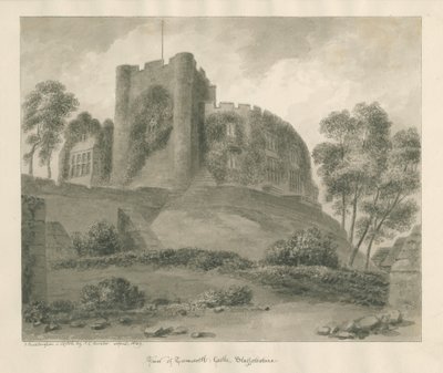 Tamworth Schloss von John Buckler