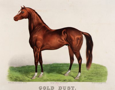 Goldstaub von John Cameron