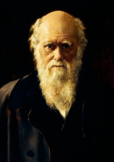 Porträt von Charles Darwin von John Collier