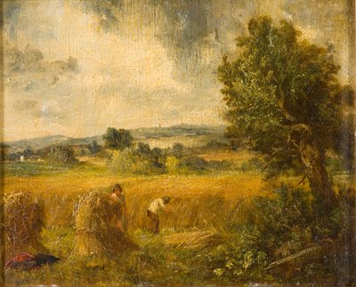 Ein Kornfeld, 1796-1837 von John Constable