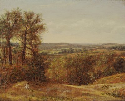 Dedham Vale, 1802 von John Constable