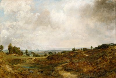 Hampstead Heath von John Constable