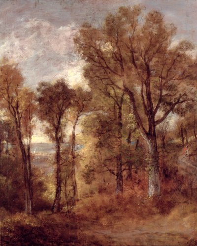 Waldansicht in Suffolk von John Constable