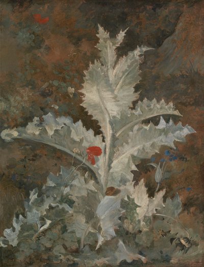Eine Distel von John Crome