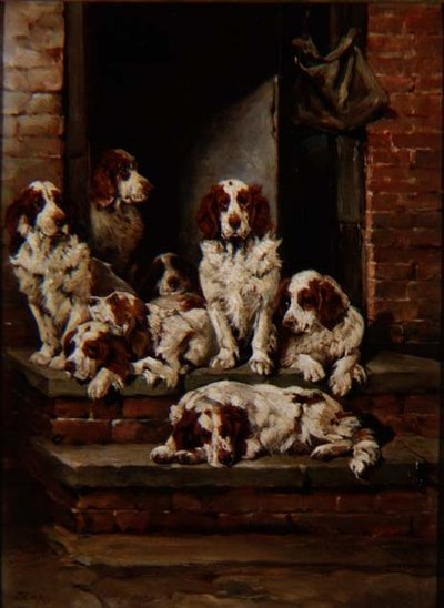 Spaniels in Hülle und Fülle von John Emms