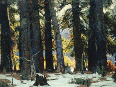 Das Heiligtum von John Fabian Carlson