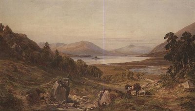 Kopf von Lough Carrib, Connemara von John Faulkner