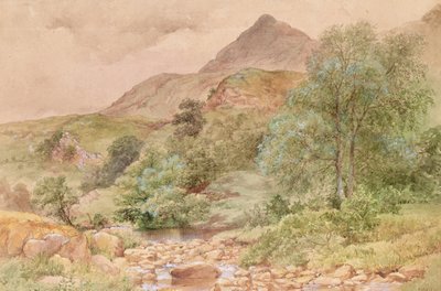 Moel Siabod, Nordwales von John Finnie