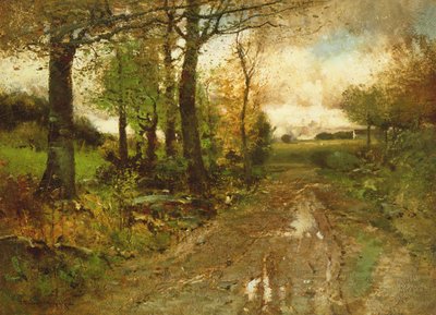 Weg durch den Wald von John Francis Murphy