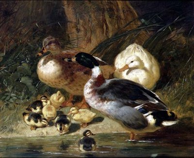 Enten und Entenküken von John Frederick Herring Senior