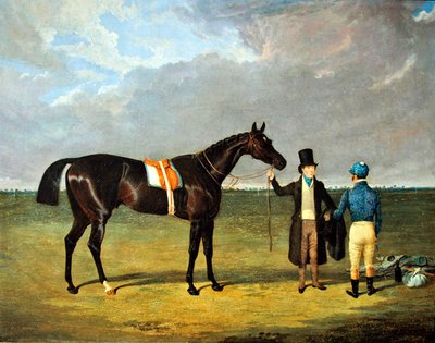 Der Sattler von John Frederick Herring Senior